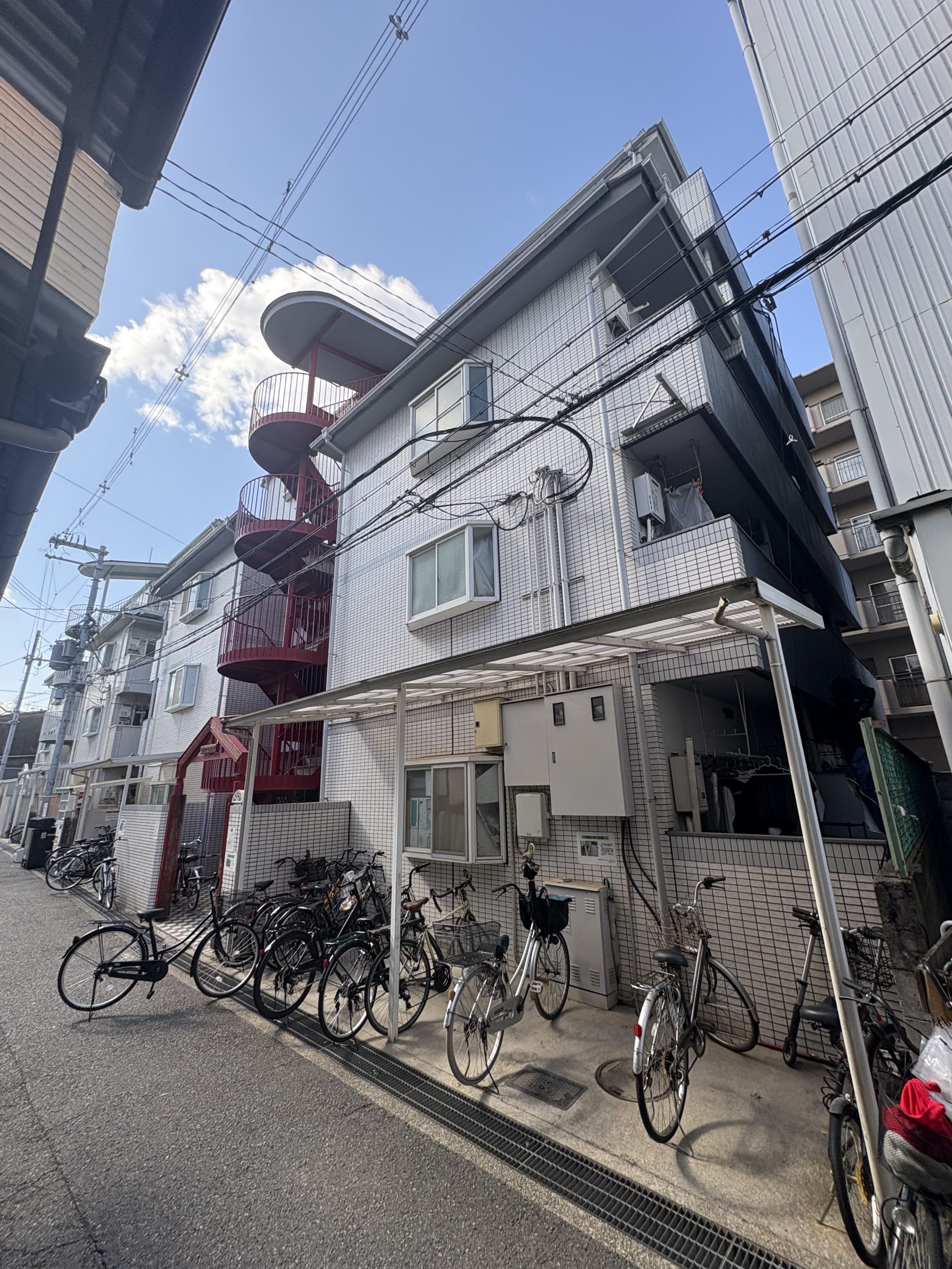 ゴールドクレスト